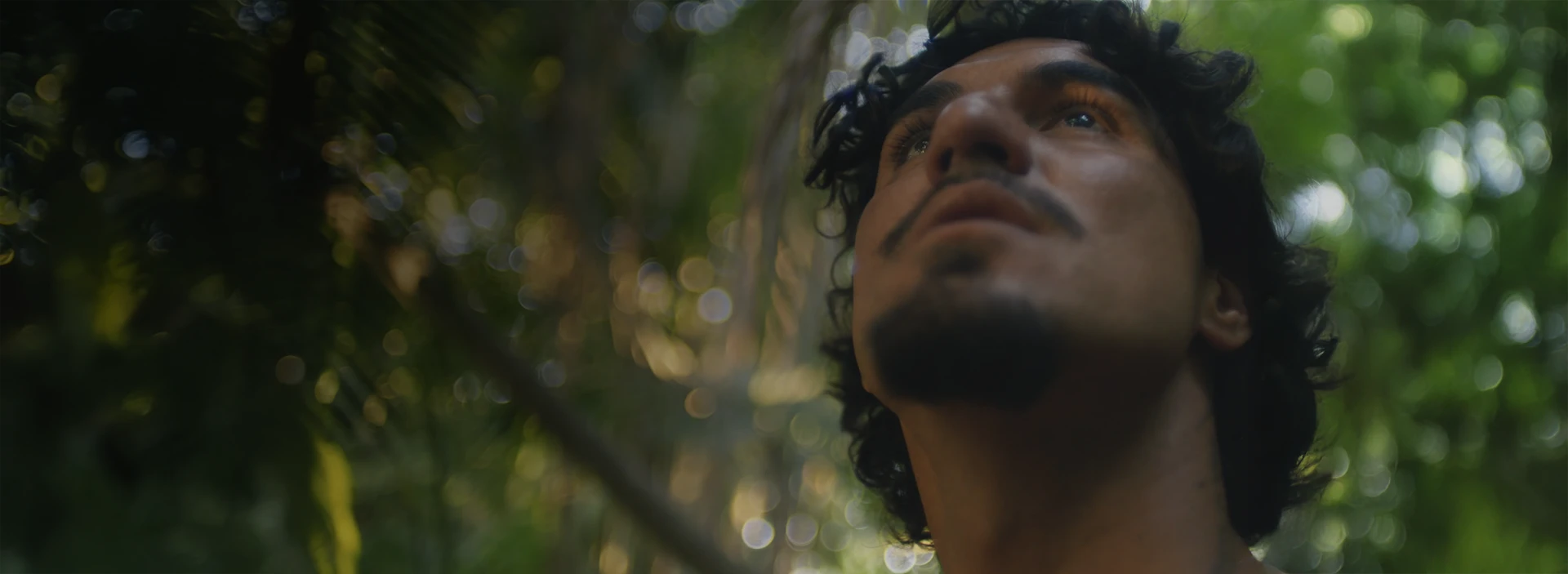 Medina em uma floresta olhando para cima.