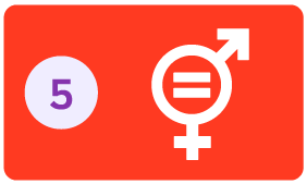 na imagem possui o número 5 e ao lado um ícone de igualdade de gênero