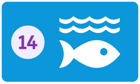 na imagem possui o número 14 e ao lado um ícone de agua e peixe