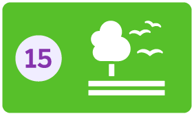 na imagem possui o número 15 e ao lado um ícone de uma árvore