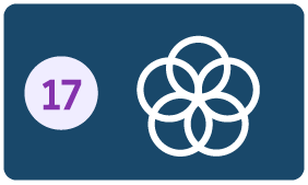 na imagem possui o número 17 e ao lado um ícone com vários círculos interligados