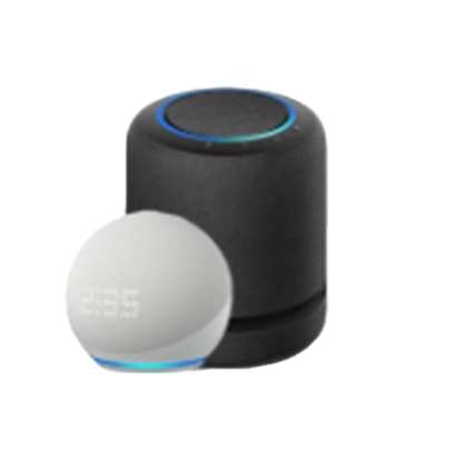 Dois assistentes de voz da Amazon.