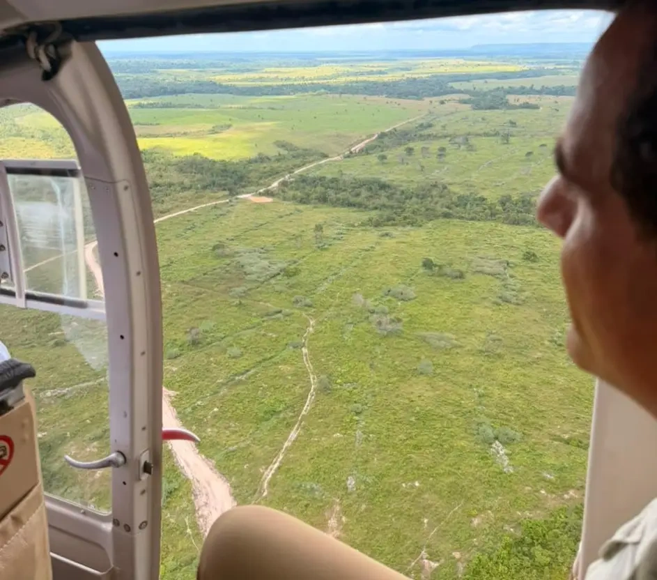 Visão aérea da região de reflorestamento.