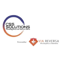 Logo da empresa CSS Solutions