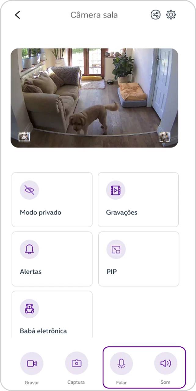 Tela "Camera da sala" área "Falar" e "Som" selecionada.