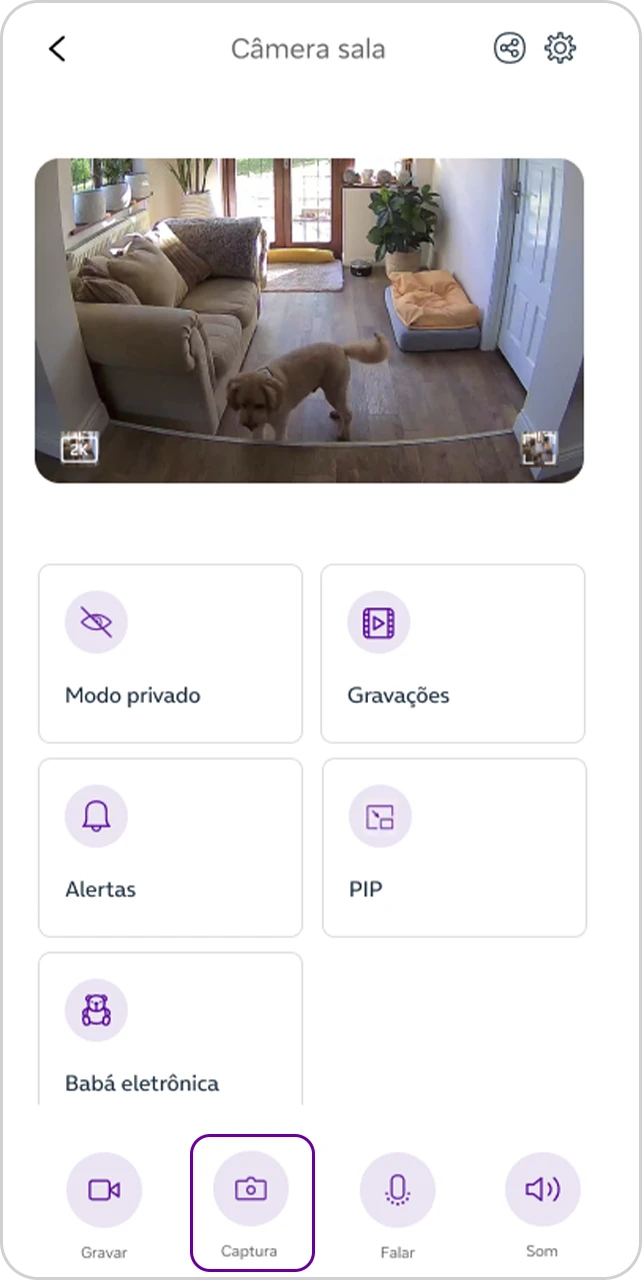 Tela "Câmera Sala" com a opção "captura"selecionada.