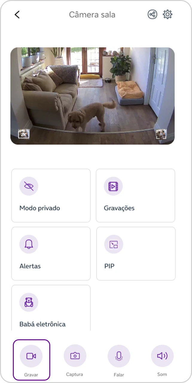 Tela "Câmera sala" com a opção "captura" selecionada.