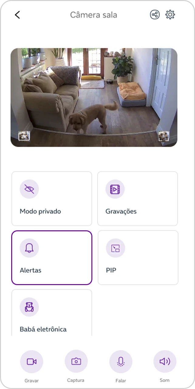 Tela "Câmera sala" com a opção "alertas" selecionadas.