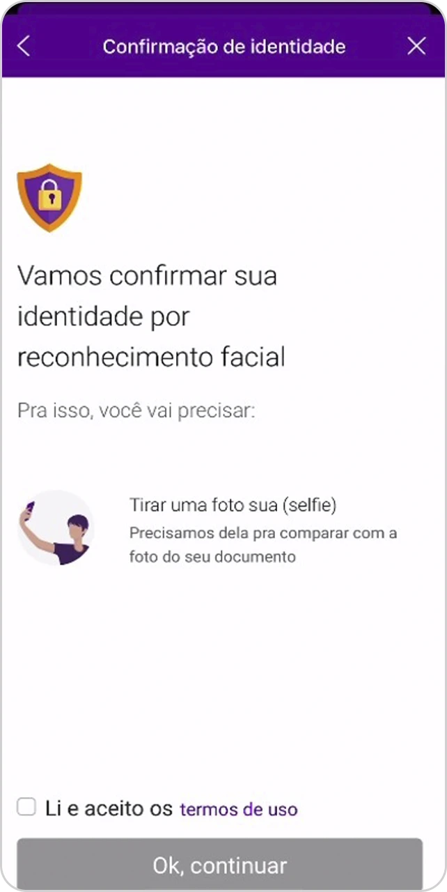 Tela informativa sobre confirmar identidade.