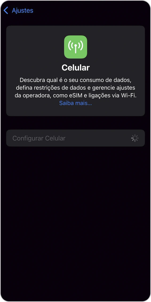 Tela de configuração em processo.