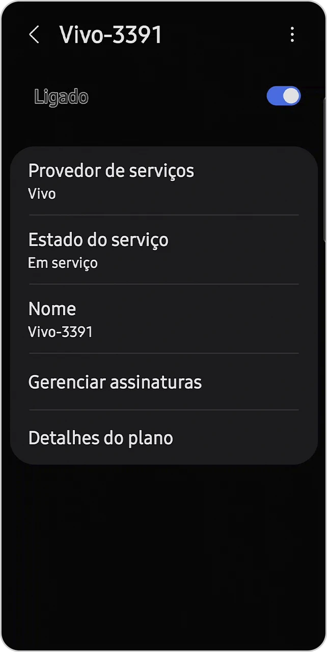 Tela com as informações de rede conectadas.