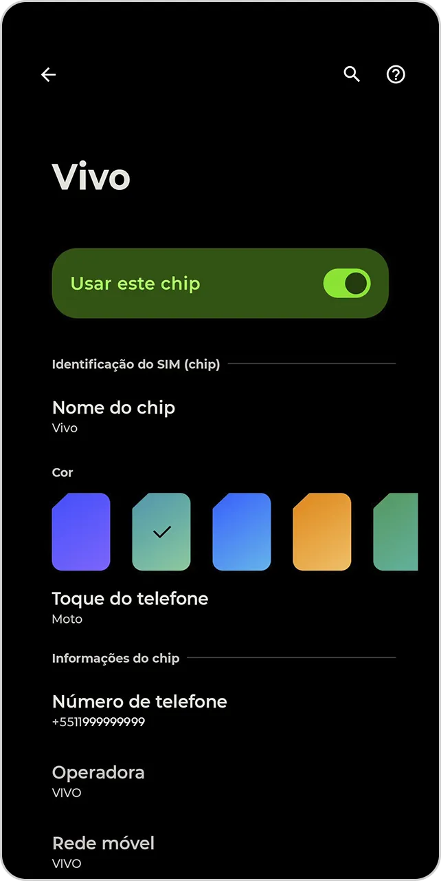 Tela da área de informações do chip.