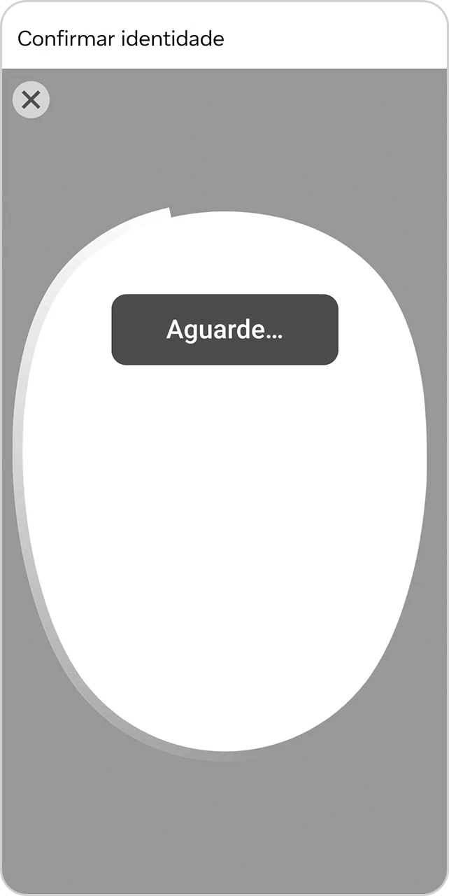 Tela para confirmar a identidade usando a câmera.