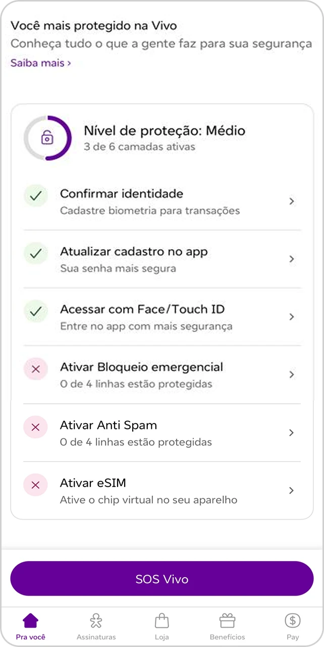Tela com opções de serviços disponíveis no Modo Seguro Vivo.