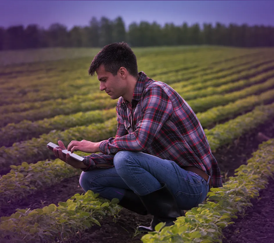 Pessoa consultando informações em tablet entre plantações no campo.